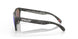 9245D8 - Black - Prizm Sapphire Polarized