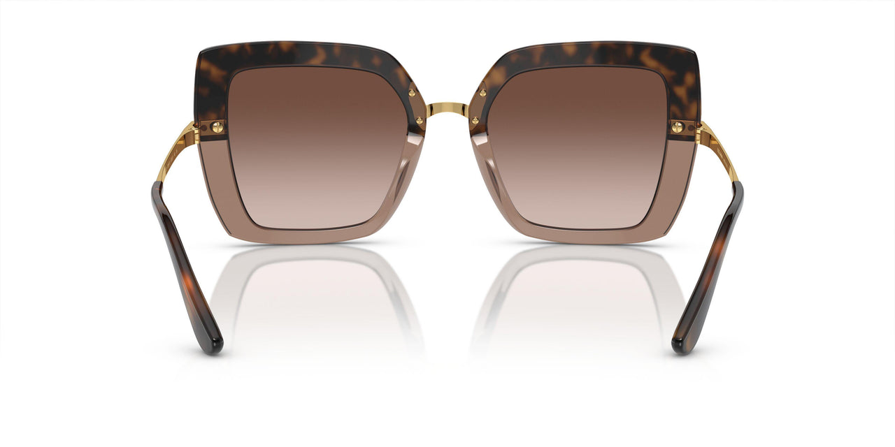 325613 - Havana - Brown Gradient