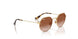 223/13 - Gold - Gradient Brown