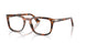 1231 - Brown