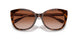 574413 - Tortoise - Brown Pink Gradient