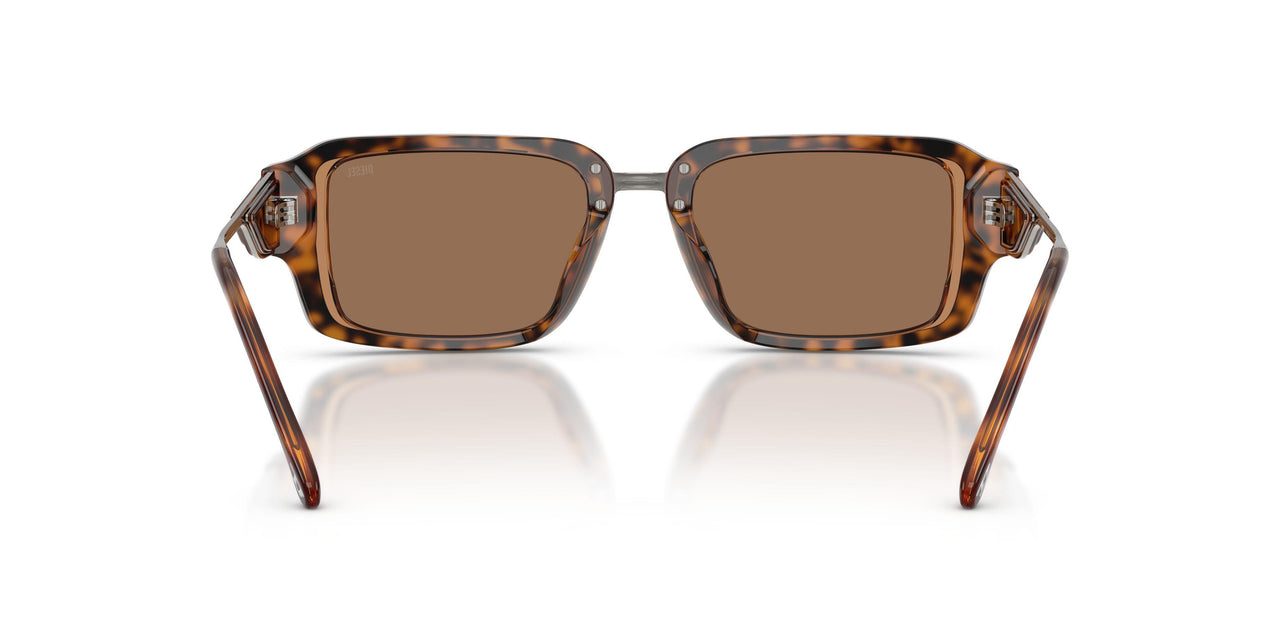 205073 - Tortoise - Dark Brown
