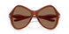 203373 - Clear - Dark Brown