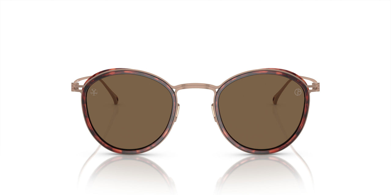 333573 - Tortoise - Dark Brown