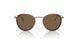 333573 - Tortoise - Dark Brown