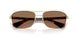 110973 - Gold - Dark Brown