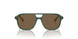 312673 - Green - Dark Brown