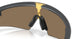 953103 - Grey - Prizm 24k Polarized