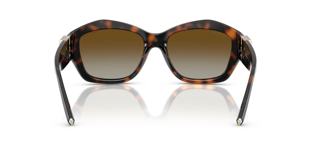 8015T5 - Tortoise - Polar Brown Gradient