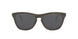 942807 - Brown - Prizm Black Polarized