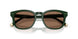 614073 - Green - Dark Brown