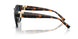 84554U - Tortoise - Azure Gradient Blue Polarized