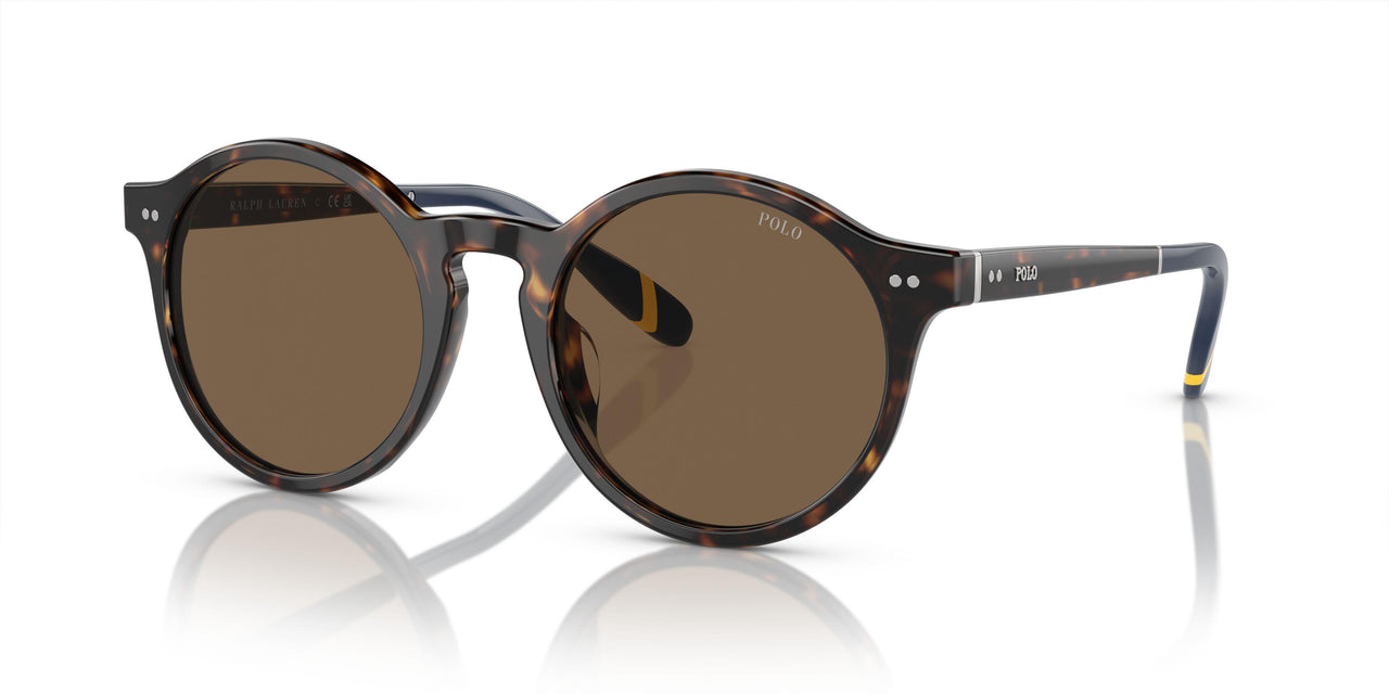 500373 - Brown - Brown
