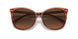 5662G9 - Brown - Brown Gradient