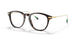 5003 - Brown