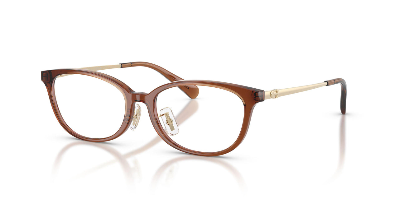 5888 - Brown