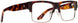 SpyOptic 570000 Eyeglasses