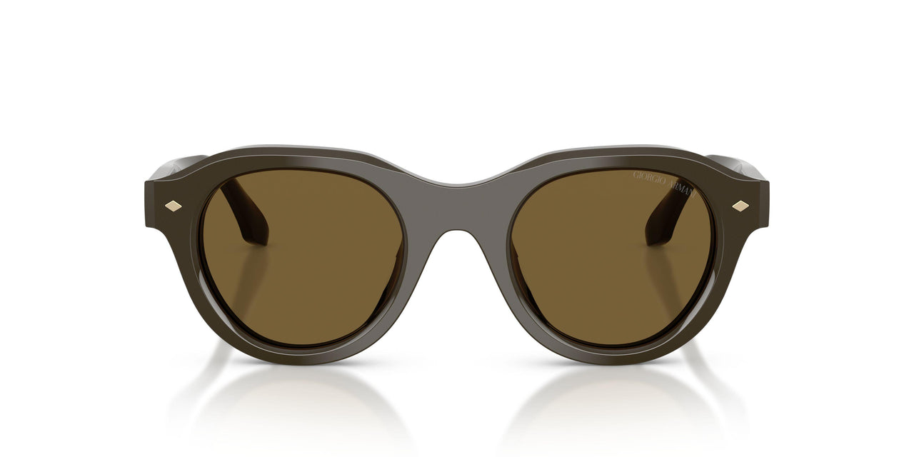 643473 - Green - Dark Brown