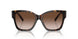80153B - Tortoise - Brown Gradient