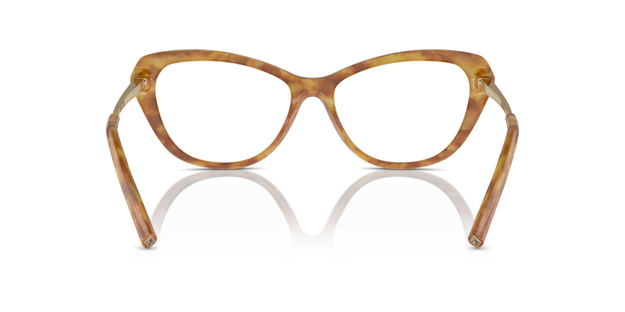 5304 - Tortoise