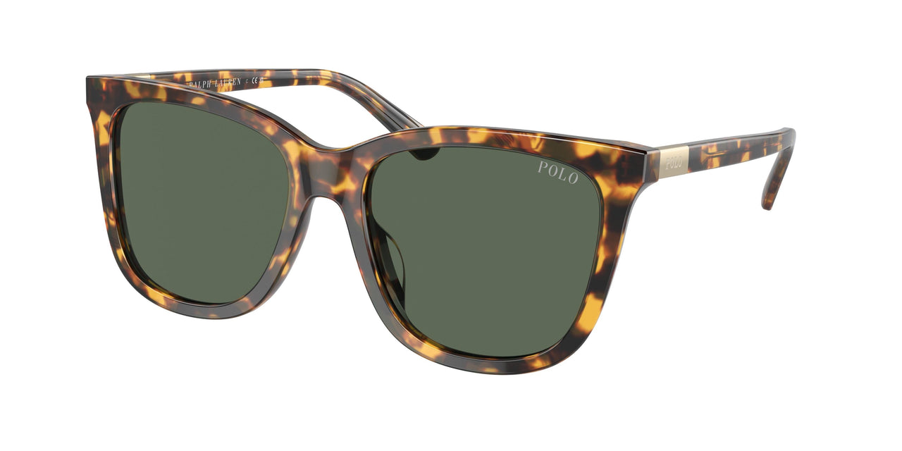 607871 - Tortoise - Dark Green