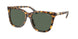 607871 - Tortoise - Dark Green