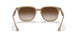 616613 - Light Brown - Gradient Brown