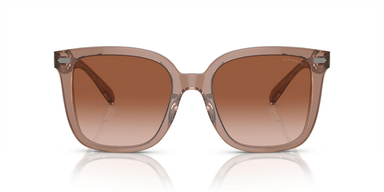 577913 - Brown - Brown Gradient