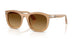 116985 - Brown - Light Brown Gradient Dark Brow