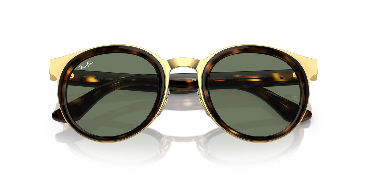 001/M1 - Tortoise - Clear/green