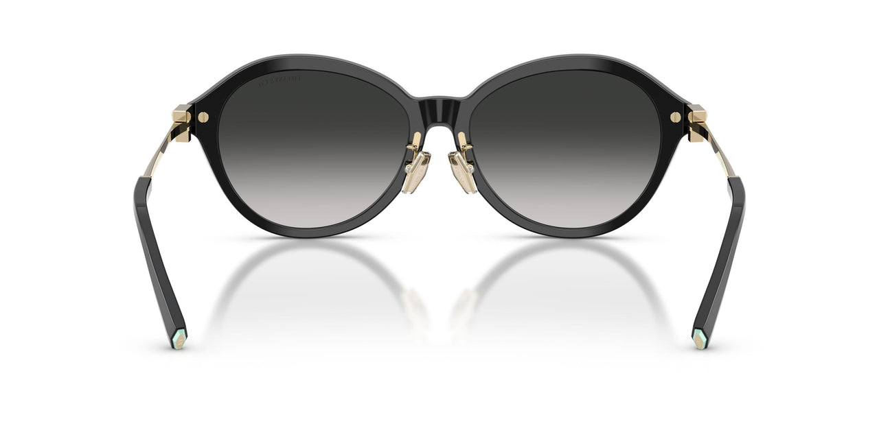 80013C - Black - Gray Gradient