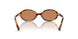 19P2Z1 - Honey Yellow Tortoise - Brown