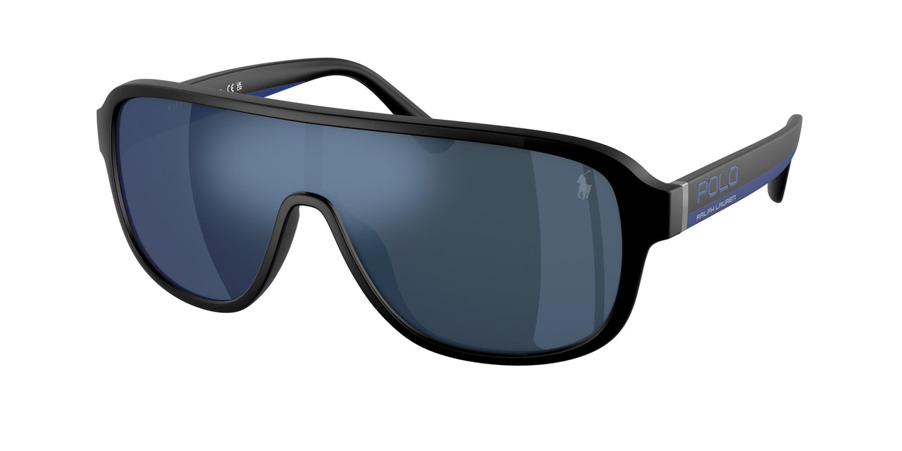 Polo 4196U Sunglasses