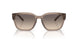 290613 - Brown - Gradient Brown