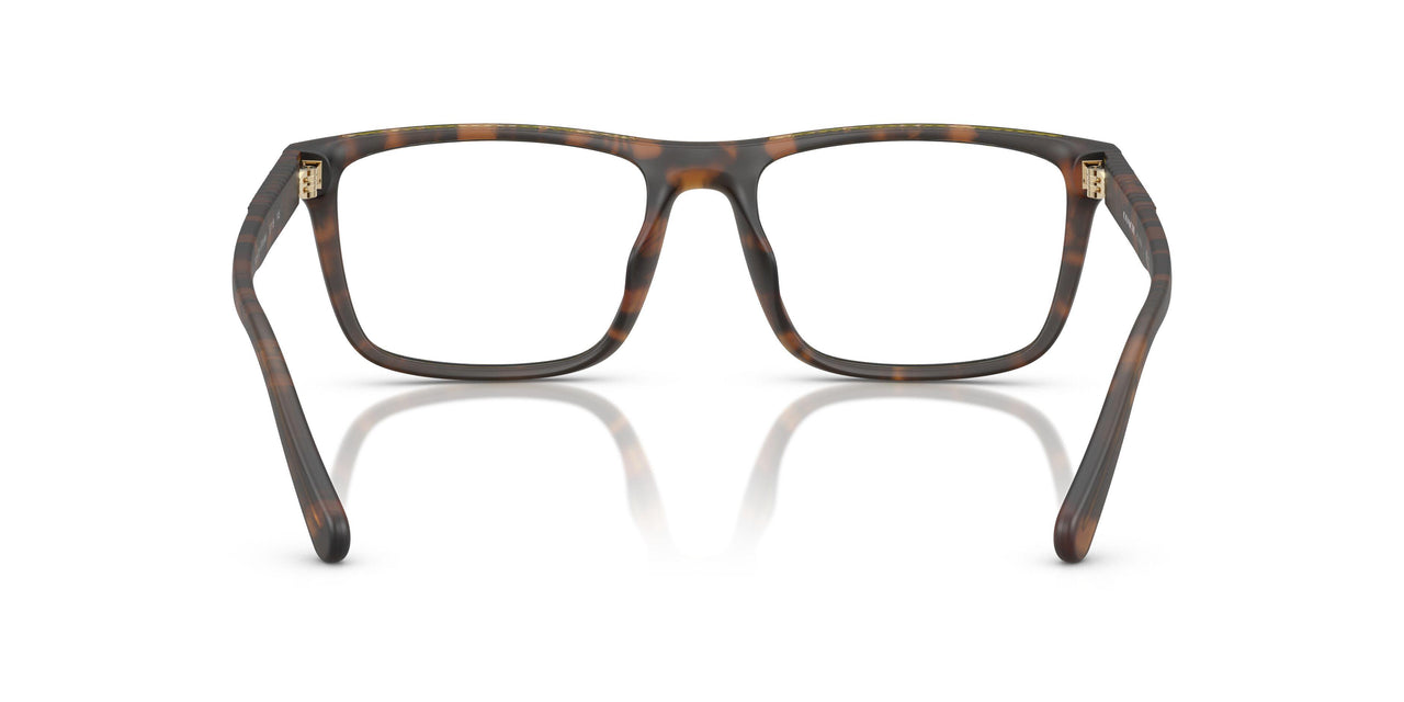 5120 - Tortoise