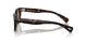 100953 - Tortoise - True Brown