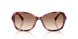 623913 - Violet - Gradient Brown