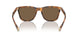 606473 - Tortoise - Dark Brown