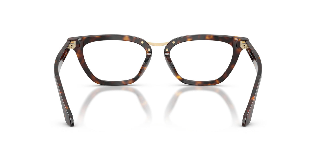 6124 - Tortoise