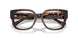 5002 - Tortoise