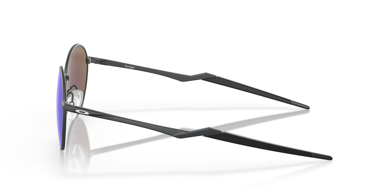 414605 - Grey - Prizm Sapphire Polarized