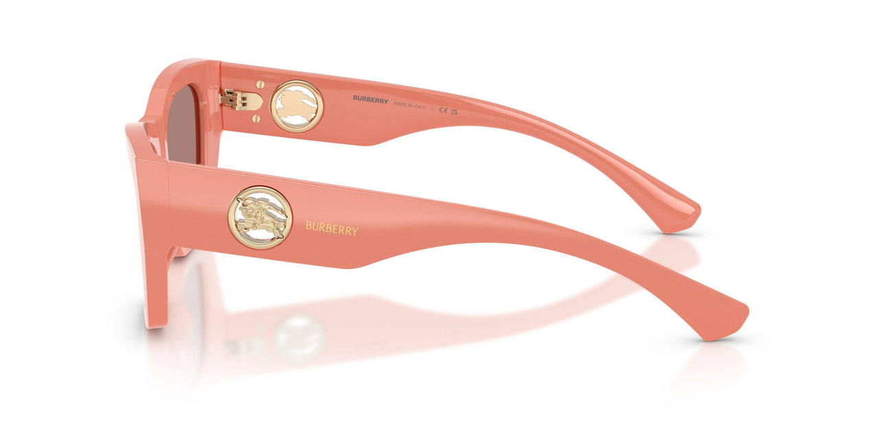 421973 - Pink - Light Brown