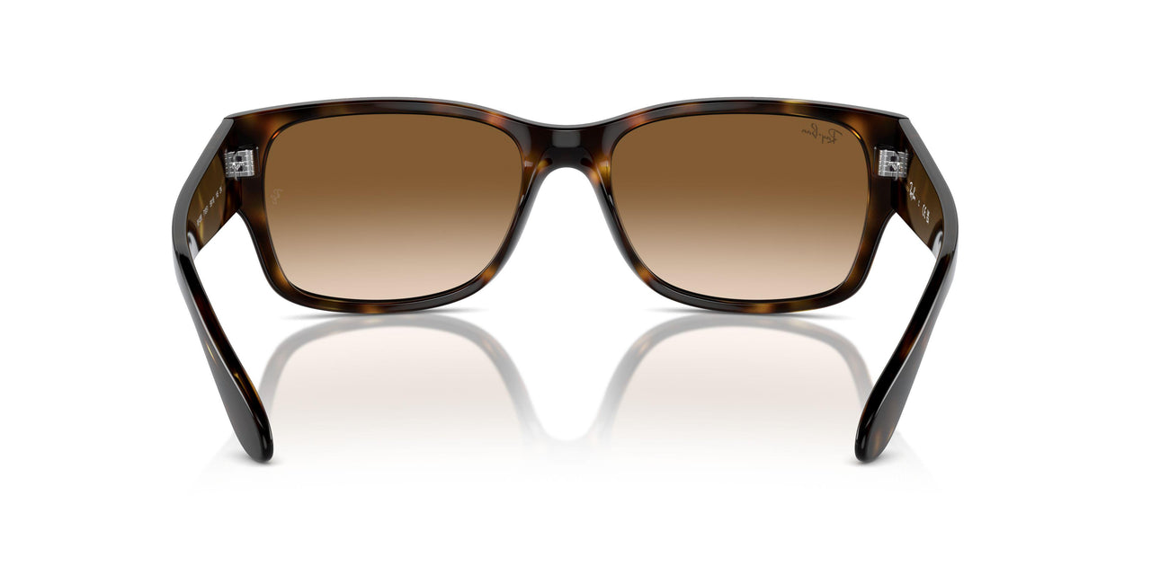 710/51 - Tortoise - Clear & Brown