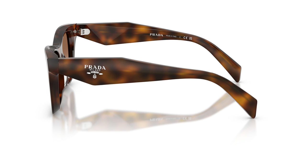 20D90P - Tortoise - Brown Gradient