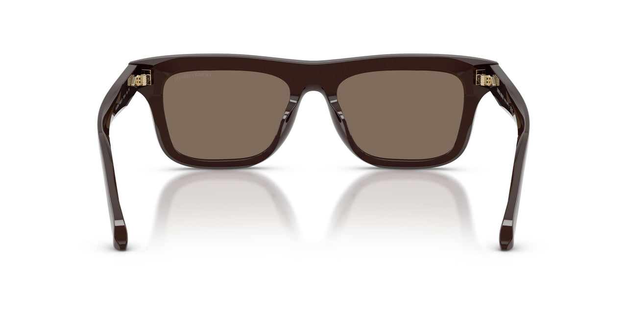 643273 - Brown - Brown