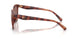 577413 - Tortoise - Brown Pink Gradient