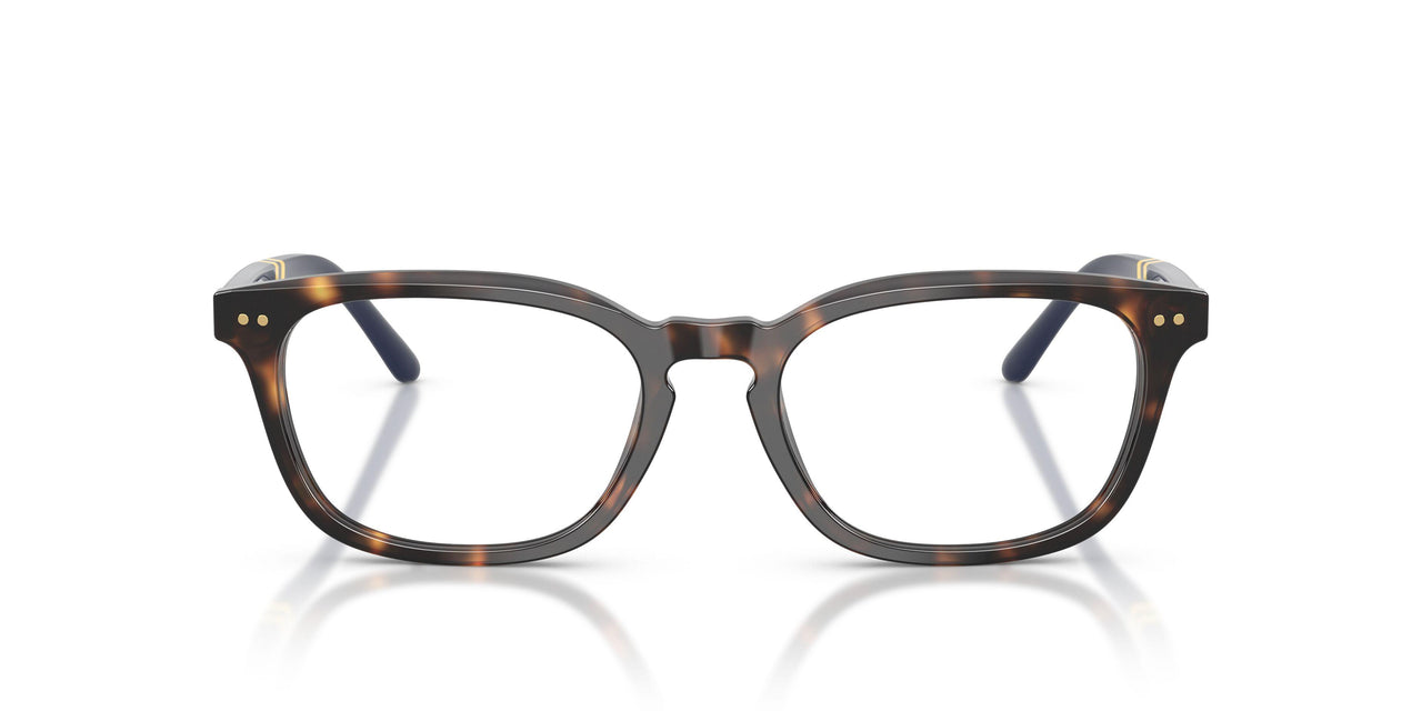 5003 - Tortoise