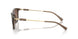 834913 - Brown - Gradient Brown
