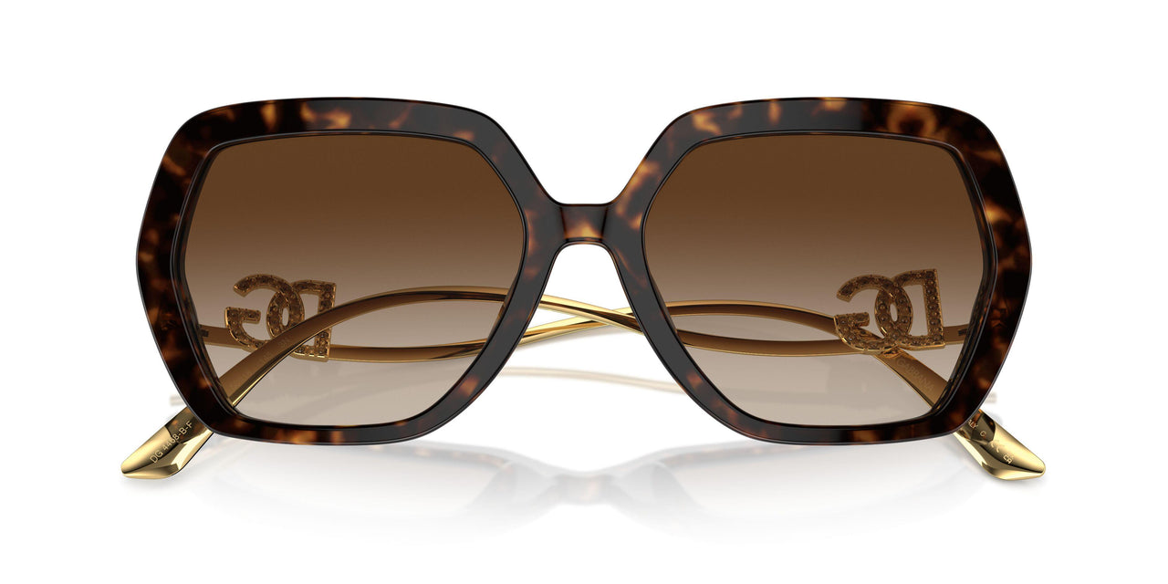 502/13 - Tortoise - Gradient Brown