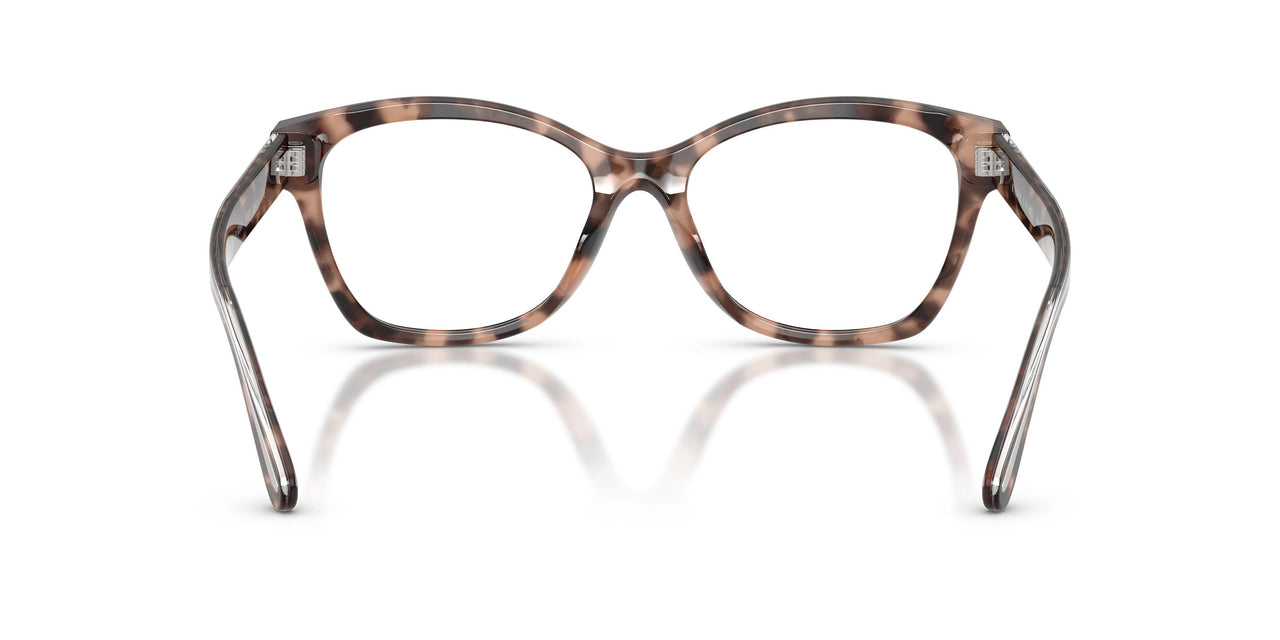 6307 - Tortoise